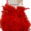 66" Feather Boa -ThreeWishes Store 746745133 2