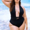 Plus Size Deep Plunge Monokini