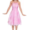 Plus Size Pink Gingham Doll Costume