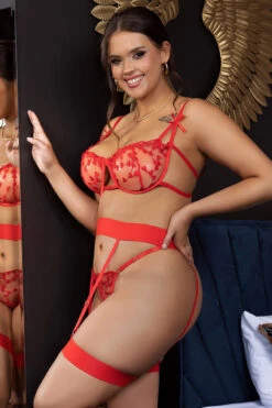 Plus Size Heart Mesh Bra Set 7 Plus Size Heart Mesh Bra Set -ThreeWishes Store SIR81195P red front 3 8e72c51a e00f 4610 a5e6 706f541b49a7