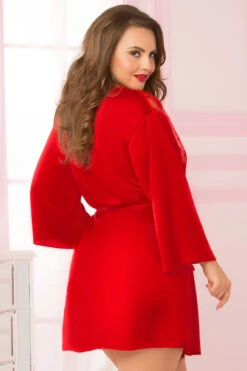 Plus Size Romantic Eyelash Lace Robe -ThreeWishes Store STM10695X RED B 45165