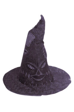 Harry Potter Sorting Hat