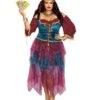 Dreamgirl Plus Size Fortune Teller Halloween Costume 2 Dreamgirl Plus Size Fortune Teller Halloween Costume -ThreeWishes Store plus size gypsy womens costume dreamgirl costume 262032